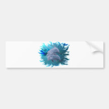 Delfinpaar Auto Sticker