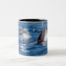 Delphin-Abenteuer Kaffeetasse