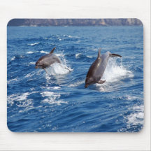Delphin-Abenteuer Mousepad