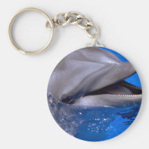 Delphin Schlüsselanhänger