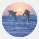 Delphine am Sonnenaufgang Sticker