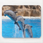 Delphine mousepad