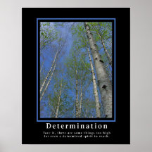 Demotivational Plakat-… Entschlossenheit