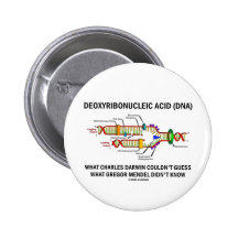 Deoxyribonucelic saurer (DNS) Mendel Darwin Buttons