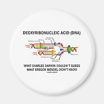 Deoxyribonucelic saurer (DNS) Mendel Darwin Magnete