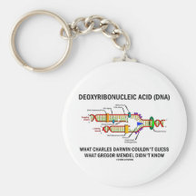 Deoxyribonucelic saurer (DNS) Mendel Darwin Schlüsselband