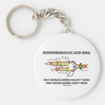 Deoxyribonucelic saurer (DNS) Mendel Darwin Schlüsselanhänger