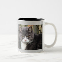 Der Becher der Katze auf einem Becher Kaffee Tassen