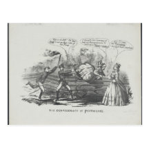 Der Confederacy in den Petticoats Postkarten