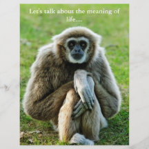 Der Gibbon, gelassen uns sprechen über die Bedeutu Flyerdruck