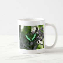 Der Grüne Kaffee Tassen