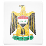 Der Irak-Wappen Kunstfotos