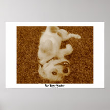 Der Knochen-Meister Poster