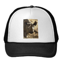 Der Kopf des Rhinos Baseballkappen