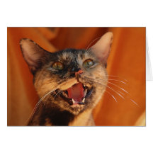 Der Meow der Katze Karte