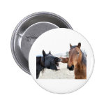 Der PferdePesterer buttons