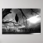 Der Raben-Druck - nie wieder Sunbeams-Baum B&W Plakate