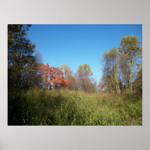 Der rote Baum Plakat