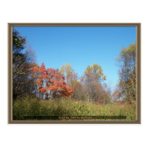 Der rote Baum Postkarte