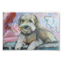 der Speicher der antoniosellsarts bei Zazzle Simpa Kunstfoto
