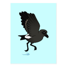 Der Sturm-Sturmvogel der Lauge (Flattern) Postkarte