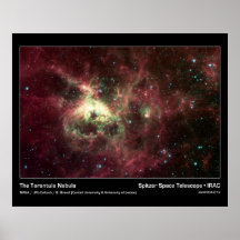 Der tarantula-Nebelfleck - Spitzer Weltraumtelesko Plakate
