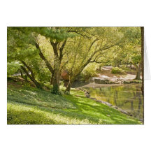 Der Teich - Central Park NYC Karte
