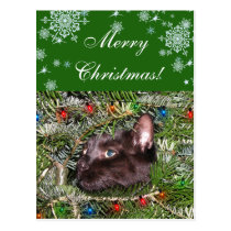 Der Tomcat im Weihnachtsbaum postkarten