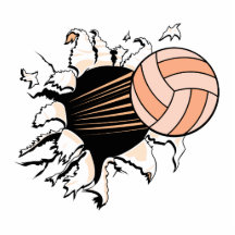 der Volleyball der Frauen, der durch zerreißt Fotoausschnitt