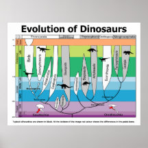 Diagramm der Evolution der Dinosaurier Poster