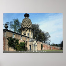 Die Ananas, Dunmore Park, Stirlingshire, Scotla Plakat