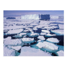 Die Antarktis, Eisfluß Postkarte