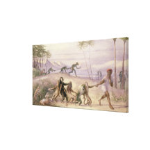 Die Arten und die Gewohnheiten der Affen Galerie Falt Leinwand