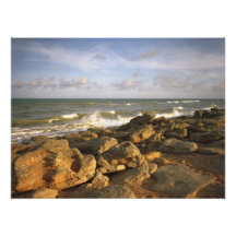Die Felsen I. Flagler County, Florida Photo Drucke