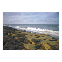 Die Felsen IV. Flagler County, Florida Photographischer Druck