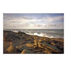 Die Felsen V. Flagler County, Florida Photos