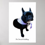Die französische Bulldogge Posterdrucke