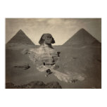 Die große Sphinx von Giseh, Ägypten - Plakat poster