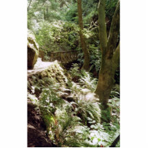 Die Hinterführungen von der Küste (gerade südlich  Foto Ausschnitt