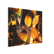 Die letzte Sonnenuntergang-Herbst-Foto-Leinwand Galerie Faltleinwand