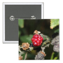 Die letzten lebenden Beeren Anstecknadelbuttons