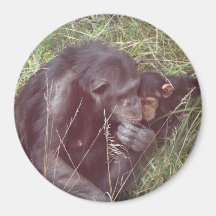 Die Liebe einer Mutter Magnets