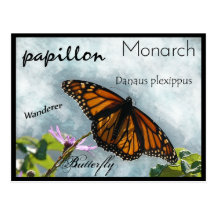 Die Monarch~ Schmetterlings-Postkarte