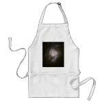Die NASA - Sternexplosion-Galaxie NGC3310 Schürze