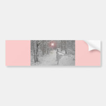 Die Schnee-Königin Auto Aufkleber