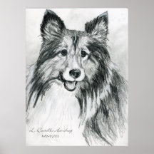 Die Shetlandinseln-Schäferhund 1 Posterdruck