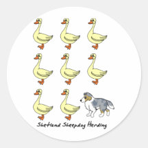 Die Shetlandinseln-Schäferhund, der Enten-Aufklebe