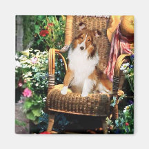 Die Shetlandinseln-Schäferhund Sheltie Kunst-Gesch Kühlschrankmagnete