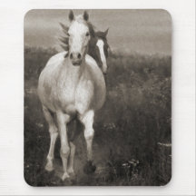 Die Stuten an der Freiheit Mousepads