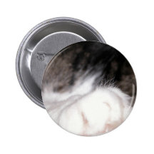 Die Tatze der Katze Anstecknadel